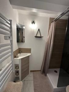 La salle de bains est pourvue d'une douche, d'un lavabo et d'un rideau de douche. dans l'établissement Séjour idéal, à Navenne