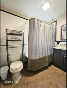 a bathroom with a toilet and a shower curtain at Nice bedroom in Lincoln with shared bathroom 1 in Lincoln