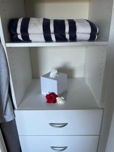 Galeriebild der Unterkunft Robyn's Nest - Bed and Breakfast in Tewantin
