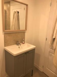 a bathroom with a sink and a mirror and a shower at Joli appart au cœur du village in Castillon-en-Couserans +32 photos