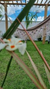 Casa Aconchego Lençóis外面的花园