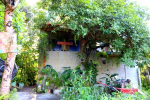 a building with a window and a tree at Casinha do Pedro - I love Boipeba in Ilha de Boipeba