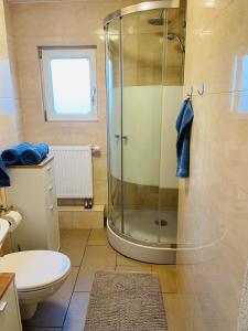 a bathroom with a shower and a toilet and a sink at Apartment Marielena in Püttlingen