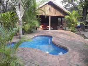 Kolam renang di atau dekat dengan Marloth Kruger Little Manor