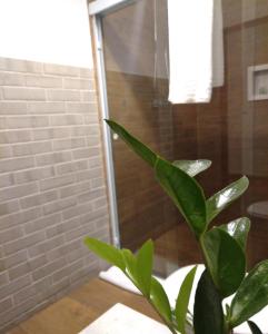 Gallery image of Le Garden Pousada Boutique in Penedo