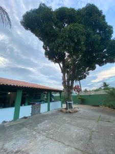 a tree in front of a house with a building at Casa perto da lagoa - Balneário São Pedro in São Pedro da Aldeia +24 photos