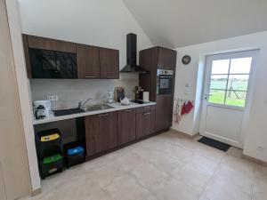 ChaingyにあるGîte 1 Les Ratys : charme, calme et confort près d'Orléans - FR-1-590-523の木製のキャビネットとシンクを備えたキッチン