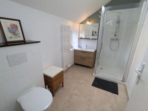 a bathroom with a shower and a toilet and a sink at Charmant gîte près d'Orléans avec jardin privatif et parking - FR-1-590-524 in Chaingy