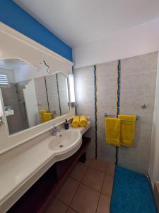 Ванна кімната в Ti'Karaïb Appartement Vue Mer