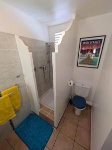 Ванна кімната в Ti'Karaïb Appartement Vue Mer