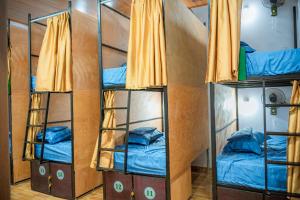 Katil atau katil-katil dalam bilik di Tam Coc Sunshine Hostel +77 gambar