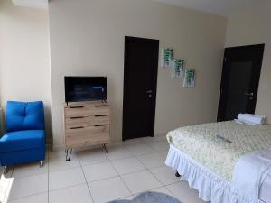TV a/nebo společenská místnost v ubytování Moderno y cómodo apartamento