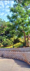 una pared de piedra con un árbol en el fondo en Forest Green Unit 2, en Durban 12 fotos más