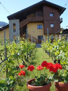 Vonkajšia záhrada v ubytovaní La Vigne de Papagran
