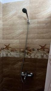 a shower in a bathroom with animals on the wall at cozy home in baie malgache in Quatre Vents +7 photos