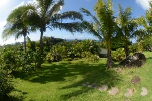 Zahrada ubytování Kalani Hawaii Private Lodging