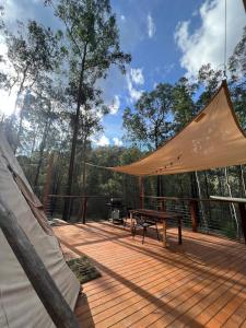 PuttyCosy Teepee to reconnect with Nature!的相册照片