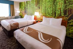 Postel nebo postele na pokoji v ubytování Quality Inn & Suites Sequim at Olympic National Park + 28 fotografií