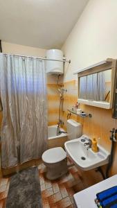 Koupelna v ubytování Apartment Zdenka