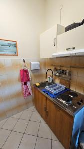 Kuchyň nebo kuchyňský kout v ubytování Apartment Zdenka