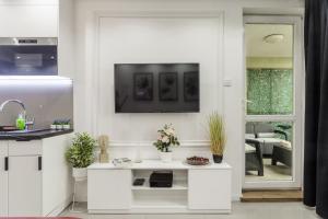 Kuchyňa alebo kuchynka v ubytovaní Lumina 3 bedroom apart Park Szczęśliwicki
