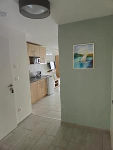 Kuchyň nebo kuchyňský kout v ubytování Éva Apartman