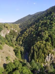 Příroda nedaleko penzionu