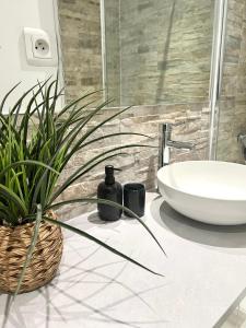 a bathroom with a sink and a toilet and a plant at Appartement proximité Strasbourg in Lingolsheim +25 photos