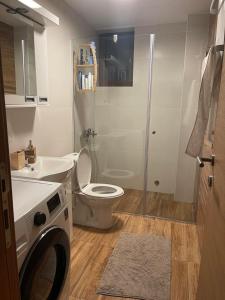 a bathroom with a toilet and a sink and a washing machine at APARTMAN broj 9, SUNČANI BREG RESORT & SPA in Kopaonik