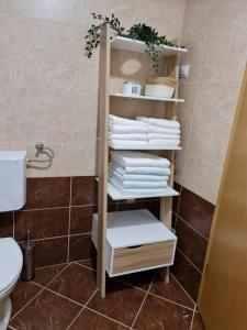 a bathroom with a shelf with towels and a toilet at Apartman W - self check in in Osijek