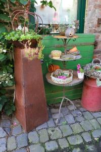 Fotografie z fotogalerie ubytování Studio in uriger Bauernhofidylle v destinaci Polch