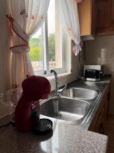 バルドビーニョにあるLa Casita de Toñitaの人が台所の流しの横に立っている +25枚の写真