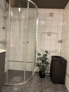 a shower in a bathroom with a potted plant at Leilighet i nærheten av Tromsø sentrum in Tromsø