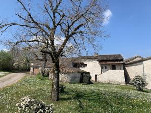 a tree in the yard of a house at Gîte La Vésarnie in Montaigu-de-Quercy