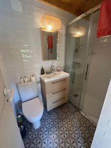 ein Badezimmer mit Toilette, Waschbecken und Dusche in der Unterkunft La petite Dépendance in Le Bouscat
