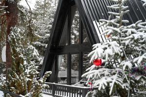 ZlatAir Black Boutique Chalets durante l'inverno