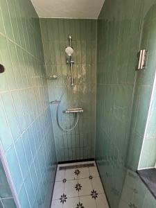 Ένα μπάνιο στο Supergezellig vakantiehuis met hele grote tuin bij Nijmegen +48 φωτογραφίες