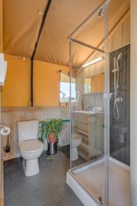 ein Badezimmer mit Toilette und Dusche in der Unterkunft Adriatic Heritage Glamping No1 with Jacuzzi in Maslinica