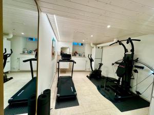Fitness centrum a/nebo fitness zařízení v ubytování Residence Mutschellen