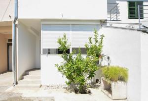 a white house with a plant in front of it at Relax 1 in Pakoštane