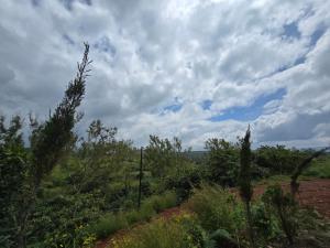 Gallery image of House of Venkateshwara in Satara