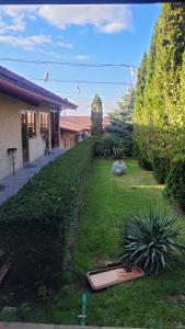 Zahrada ubytování DALLAR Guest House