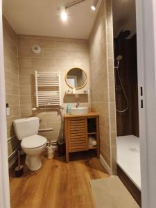 a bathroom with a toilet and a sink and a shower at Chez Marie et Ludovic in Ronchin