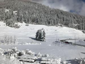 Chalet Rustico Bertolini per Gruppi! v zimě