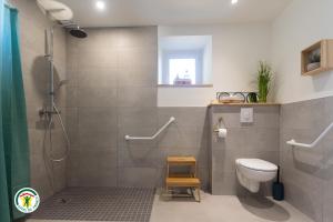 a bathroom with a shower stall and a toilet at Gîte des Mouliniers in Saint-Siméon-de-Bressieux