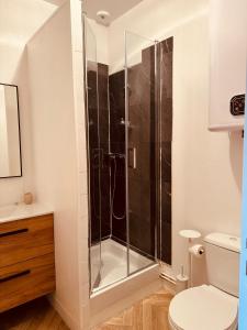 a bathroom with a shower and a toilet at DAMA Lodge in La Ferté-Bernard +14 photos