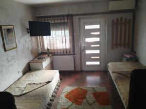 TV a/nebo společenská místnost v ubytování Apartmani Studio