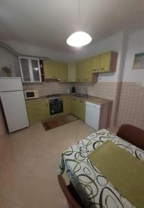 Kuchyň nebo kuchyňský kout v ubytování Apartment Kosta
