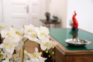 Fotografie z fotogalerie ubytování Antares Rooms v destinaci Castellabate