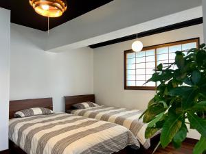 two beds in a room with a plant at TABINE 1min walk to JR Station Prime Location in Kumamoto